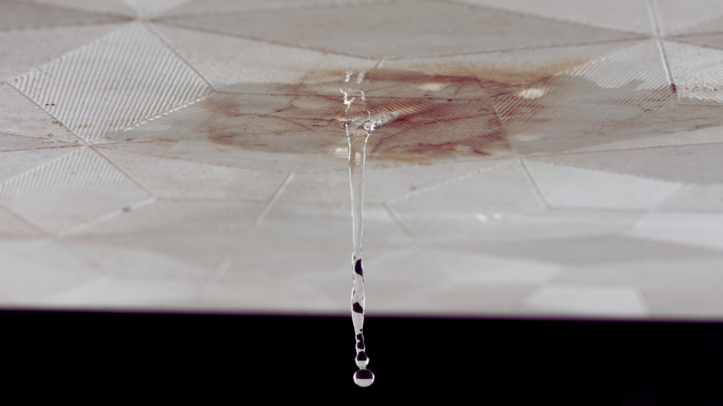 株式会社大和（だいわ）雨漏りにお困りの方へトップ画像